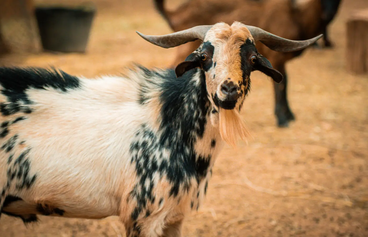 Le Jardin Ocre en images